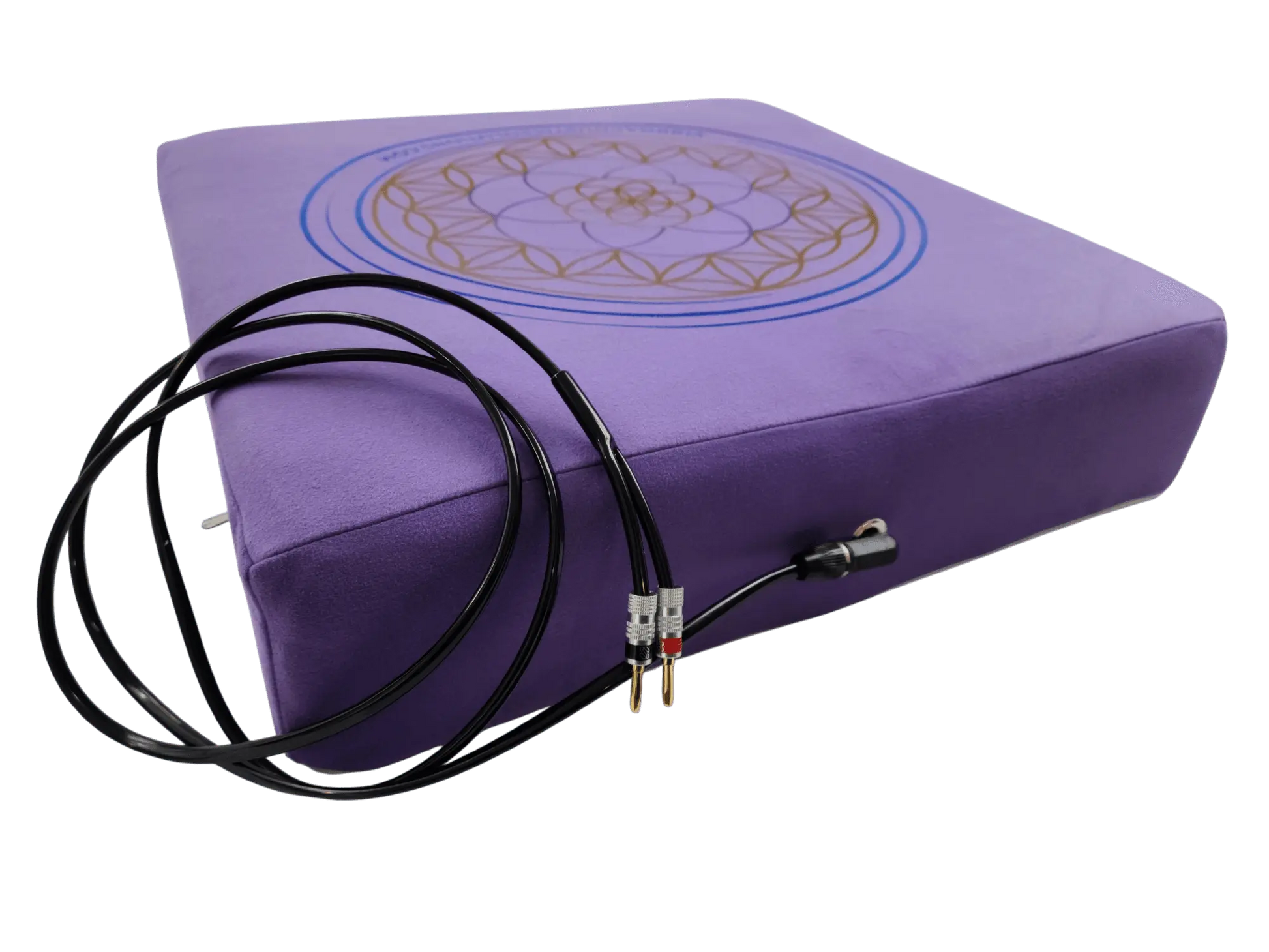 Vibroacoustic Therapy Meditation Cushion bundle with custom amplifier Vibroacoustic Solutions