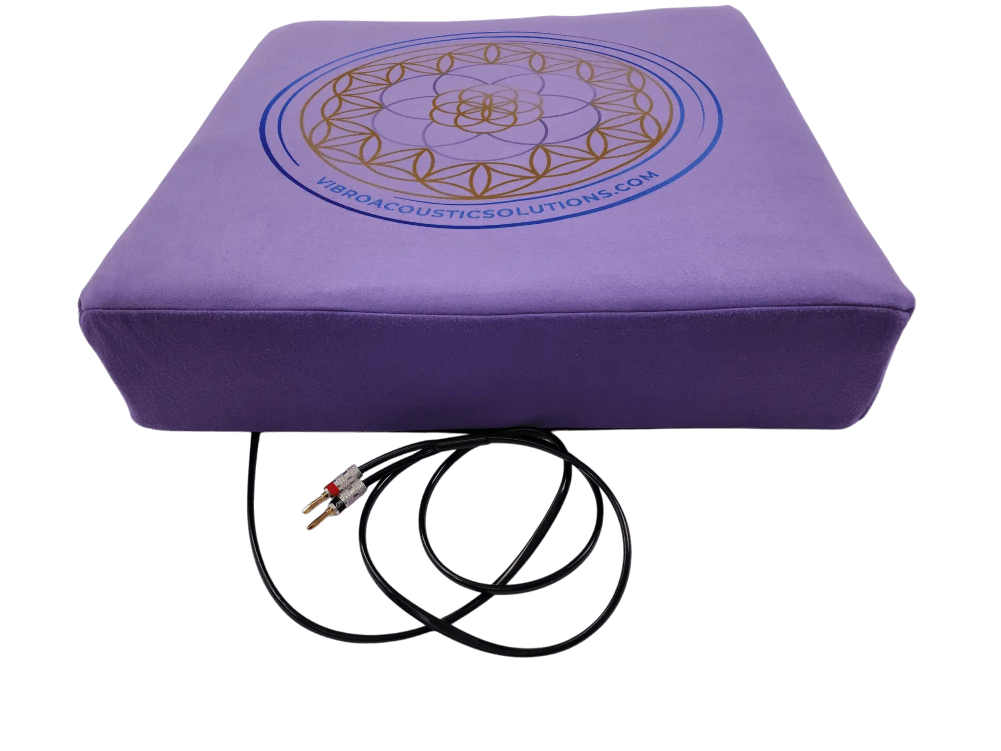 Vibroacoustic Therapy Meditation Cushion bundle with custom amplifier Vibroacoustic Solutions